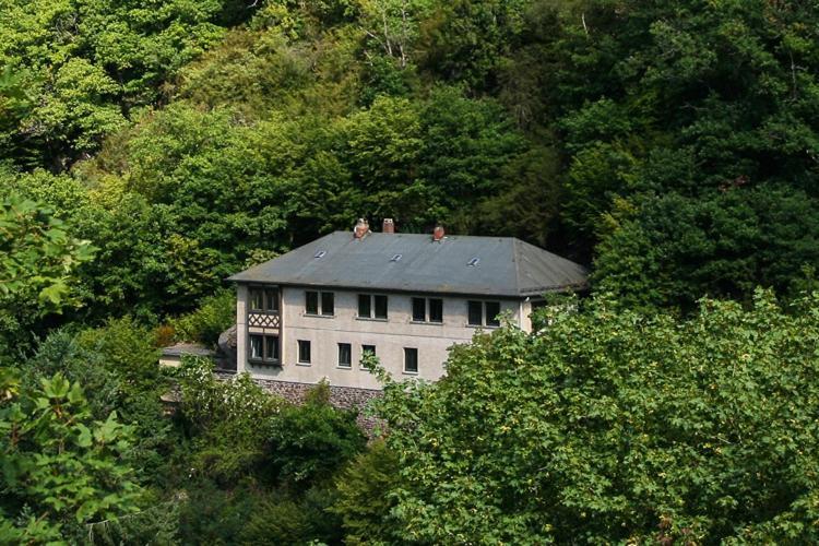 바트베르트리흐 Haus Am Berg 빌라 외부 사진